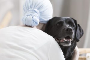 Cancer Treatment and Your Pets with Dr. Robert Yoo of Ironwood Cancer & Research Centers