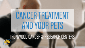 Dr. Robert Yoo Cancer Treatment and Your Pets