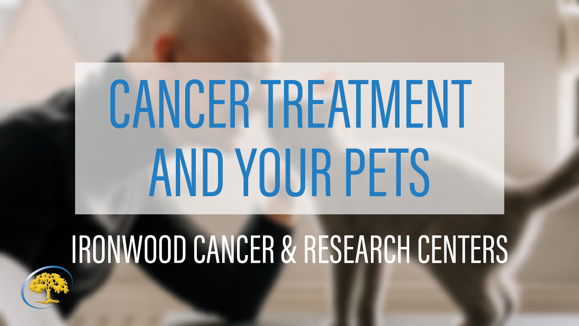 Dr. Robert Yoo Cancer Treatment and Your Pets